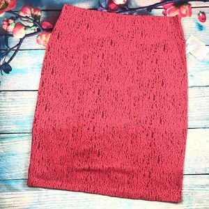 NWT LuLaRoe Cassie Skirt
